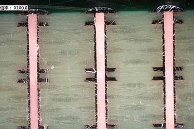 PHP9000-3F-SL 塞孔树脂